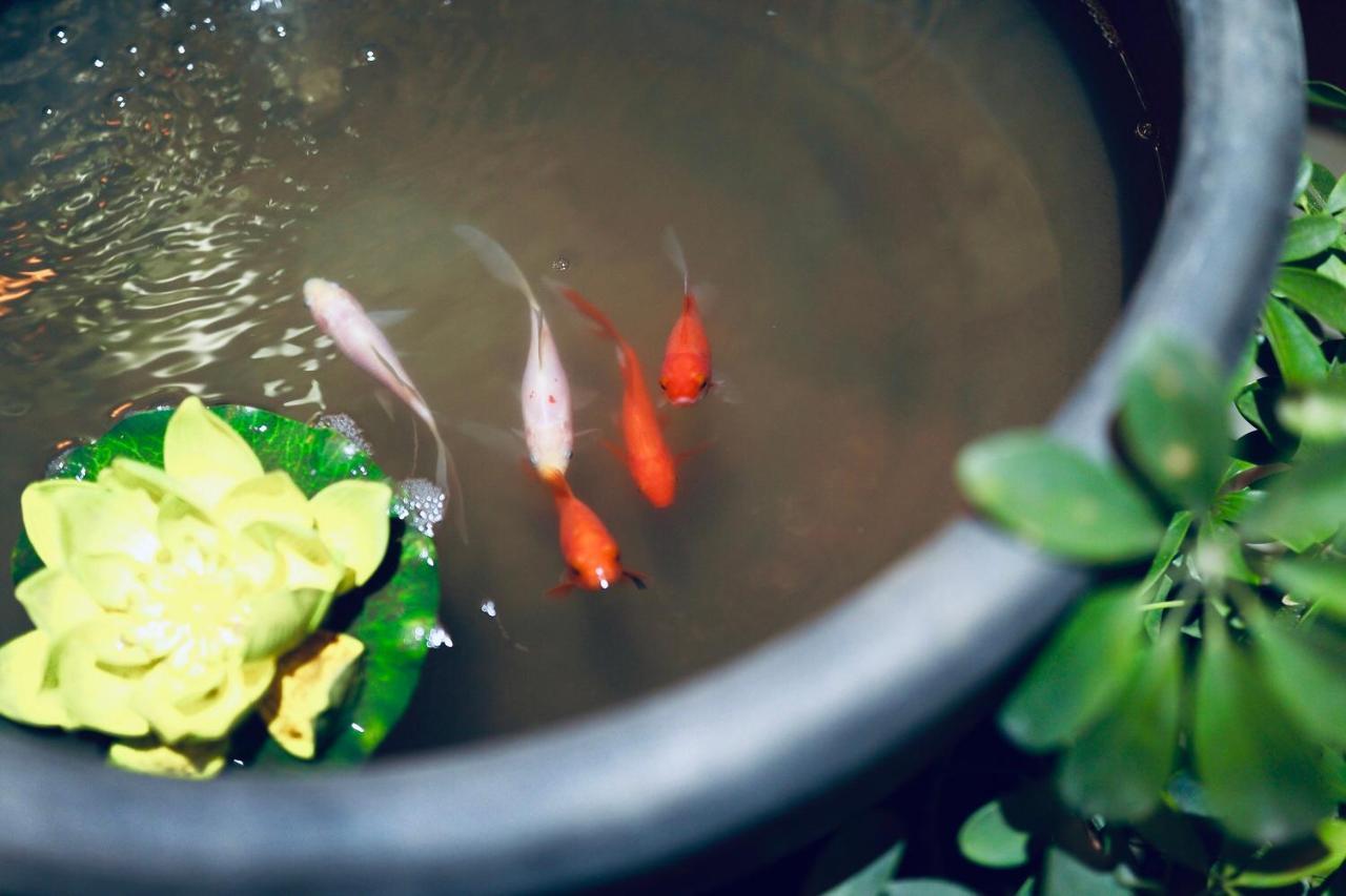 Pusu Zen Collection Hotel Xi'An Σιάν Εξωτερικό φωτογραφία